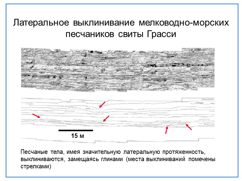 Латеральное выклинивание мелководно-морских песчаников свиты Грасси Песчаные тела, имея значительную латеральную протяженность, выклиниваются, замещаясь